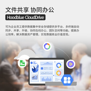 火蓝 TS6112云盘一体机网盘远程访问协同办公网络数据安全文件共享存储备份 TS6112-CD-48TB