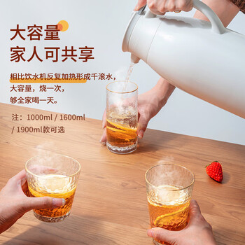 JEKO&JEKO保温壶家用热水瓶暖水壶大容量宿舍开水瓶玻璃内胆 1.9L淡蓝色