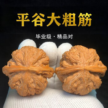 大粗筋核桃(サイズ49） クルミ 文玩 粗筋核桃价格报价行情- 京东