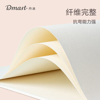 得力（deli）4K160g素描纸PE袋装(20张/袋)手绘临摹专业联考艺考铅画纸RS3-4K