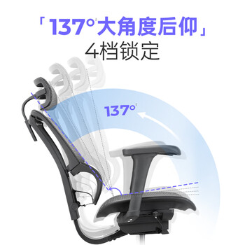 Ergonor保友优b2代 人体工学椅电脑椅办公椅护腰电竞椅 黑色网