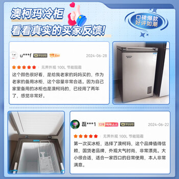 澳柯玛(AUCMA)100升低霜平嵌家用冰柜冷藏柜冷冻柜 无界单温冷柜 一级能效 天际线 BC/BD-100HSNE 澳柯玛(AUCMA)100升低霜平嵌家用冰柜冷藏柜冷冻柜 无界单温冷柜 一级能效 天际线 BC/BD-100HSNE