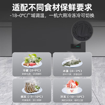 星星（XINGX）200升 单温家用冷柜冰柜减霜80%一级能效预涂内胆 BD/BC-200R