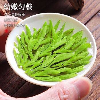西湖说龙井茶豆香250g明前绿茶新茶春茶头采嫩芽礼盒高端茶叶自己喝送礼