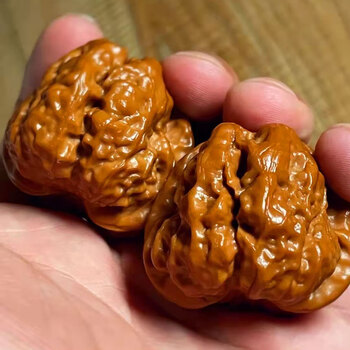 怀柔肌肉蛤蟆头Chinese WenWan Walnut（Toad Head）文玩核桃- 修