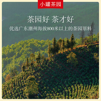小罐茶（HW）小罐茶园彩标系列 乌龙茶大红袍 单丛茶 茶叶 75g1罐 
