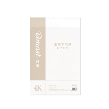 得力（deli）4K160g素描纸PE袋装(20张/袋)手绘临摹专业联考艺考铅画纸RS3-4K