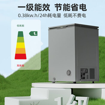 星星（XINGX）100L单温家用小型冰柜 大容量减霜保鲜净味节能一级能效冰箱冷藏冷冻两用冷柜BD/BC-100KE