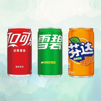 330ml/12瓶 罐装芬达330ml【图片 价格 品牌 报价】-京东