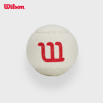 Wilson威尔胜2025蛇年限定网球 红色罐装2只装WR8216401001