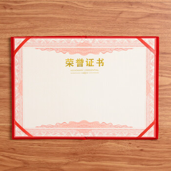 泰档证书荣誉证书绒面烫金A4尺寸加厚空白内芯内页大12开（A4）10张RJ1210