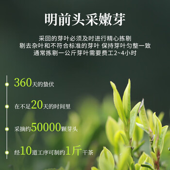 西湖狮井2026新茶现货明前特级龙井绿茶叶礼盒装100g高端送礼品老人物长辈