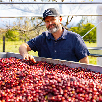 来美咖翡翠庄园绿标瑰夏挂耳咖啡粉10g*10袋茉莉金桔手冲美式黑咖啡
