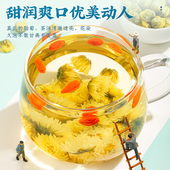 朕皇北京同仁堂 杭白菊胎菊花茶 无硫花蕾桐乡清花草茶泡水养生茶40g 朕皇北京同仁堂 杭白菊胎菊花茶 无硫花蕾桐乡清花草茶泡水养生茶40g