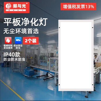 鲸与光 LED净化灯平板灯工业灯吸顶灯明装灯超薄灯洁净灯 无尘车间照明灯 300*600 24瓦（ 2个装）