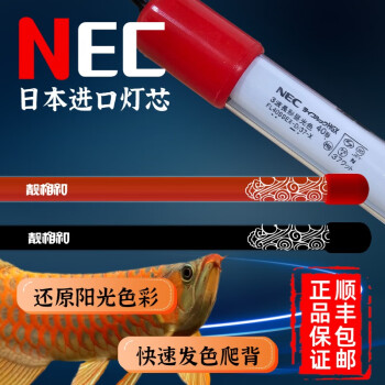 NEC灯价格报价行情- 京东