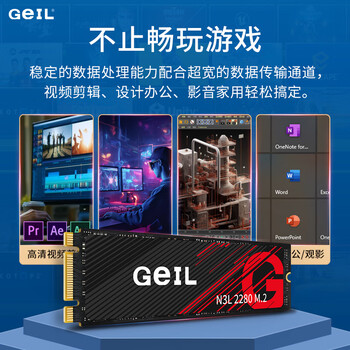 GEIL金邦 1TB SSD固态硬盘 M.2 SATA协议 2280 NGFF 台式机笔记本 高速500MB/S N3L系列