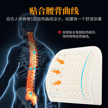paratex乳胶腰靠 靠垫办公室汽车腰垫呵护腰背车载腰枕抱枕靠枕椅子垫