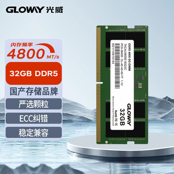 光威（Gloway）32GB DDR5 4800 笔记本内存条 天策S系列 助力AI 适配黑神话悟空