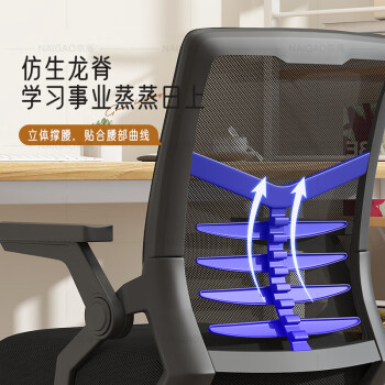 奈高电脑办公椅子学生宿舍学习椅升降职员椅家用人体工学座椅-R3