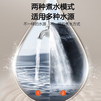 九阳（Joyoung）电热水壶+茶垢剂一盒单发 烧水瓶家用多功能智能电烧水壶开水煲 可调温除氯热水壶 K16ED-W960