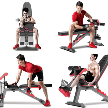 多德士(DDS)哑铃凳锻炼椅子卧推凳健身器材多功能一体机仰卧板挺身器1205 多德士(DDS)哑铃凳锻炼椅子卧推凳健身器材多功能一体机仰卧板挺身器1205