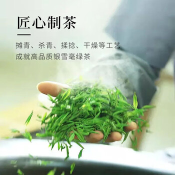 中茶中茶茶叶绿茶2025新茶上市春茶明前头采银雪毫茶叶150g中华老字号 中茶中茶茶叶绿茶2025新茶上市春茶明前头采银雪毫茶叶150g中华老字号