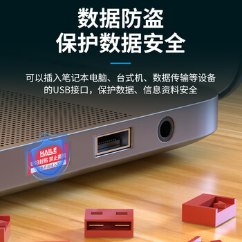 HAILEUSB接口封堵器USB安全锁 端口锁可拆卸 红色10个 HT-FDA-U