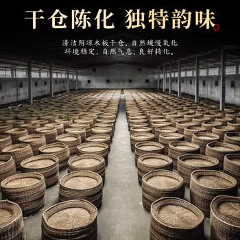 七春六堡茶2012年500g黑茶特级广西梧州特产陈香茶叶毕业季教师长辈礼