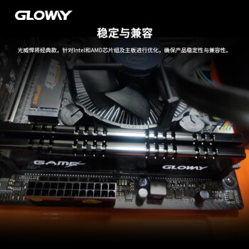 光威（Gloway）8GB DDR4 2666 台式机内存条 悍将系列