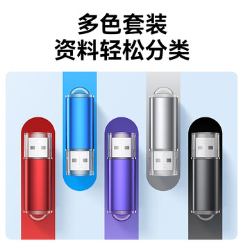 毕亚兹 2GB USB2.0 招标投标U盘 小容量 迷你 公司企业竞标专业U盘优盘 10个/盒 UP015