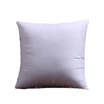 艾薇高弹沙发抱枕芯 方枕芯汽车靠垫芯腰靠芯床头靠枕芯50*50cm单只装 艾薇高弹沙发抱枕芯 方枕芯汽车靠垫芯腰靠芯床头靠枕芯50*50cm单只装