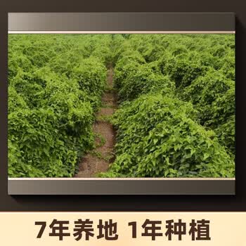 丙田 铁棍山药粉350g 河南焦作产垆土怀淮山药粉无加糖早代餐儿童老人
