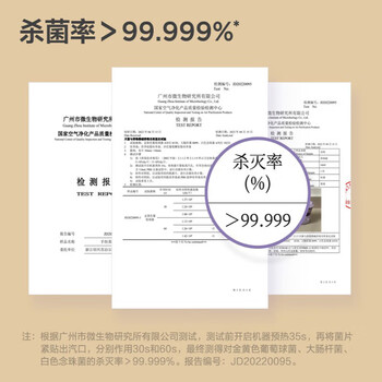 苏泊尔（SUPOR）手持挂烫机 蒸汽挂烫机便携式手持熨烫机小型电熨斗 干湿双熨 旅游出差 商超款 GH-200C