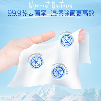 得宝(TEMPO)一博同款 纯水湿厕纸40片*1包 深澈水感 可冲散 湿纸巾 湿巾 厕纸 得宝(TEMPO)一博同款 纯水湿厕纸40片*1包 深澈水感 可冲散 湿纸巾 湿巾 厕纸