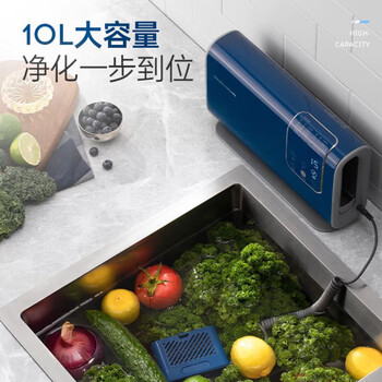 摩飞电器（Morphyrichards）果蔬清洗机 MR2061 家用双仓有线洗菜机蔬菜水果分类烘干  颜色随机