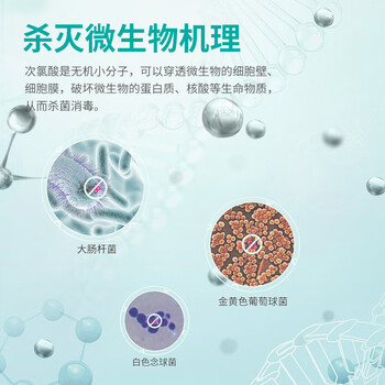 秝客次氯酸免洗消毒液300ml*3母婴宠物hpv杀菌除螨喷雾0酒精病毒灭活