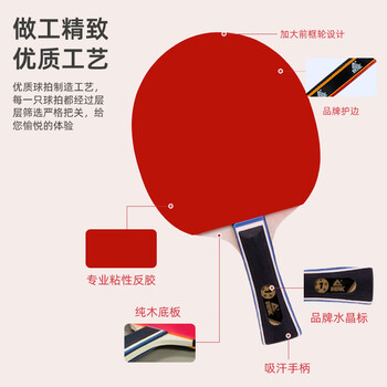 匹克乒乓球拍专业成人中小学生比赛训练横拍对拍套装含三只球