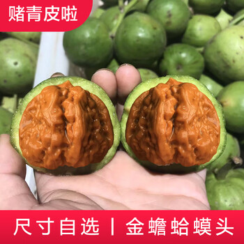 蛤蟆核桃图片- 京东