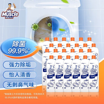 威猛先生 洁厕剂整箱装 480g*24瓶 洁厕灵 洁厕液量大耐用 强力除垢