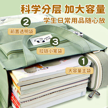 NVV 补习袋美术袋小学生痛包手提袋书袋学习补课试卷收纳袋作业手提包资料文件袋透明多层NR-D02B