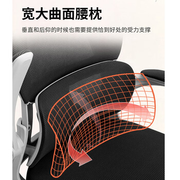 中伟电脑椅家用久坐学习座椅人体工学椅办公椅子休闲椅无枕乳胶逍遥