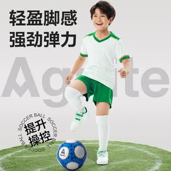 得力（deli）5号标准足球青少年学生机缝耐磨世界杯训练足球专业比赛球