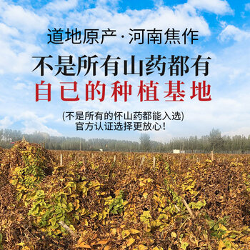 怀府人家 铁棍山药粉500g 淮山药粉怀山药代餐粉老年人营养品早餐河南特产