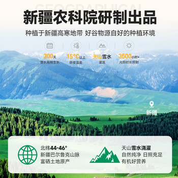 西域美农有机鹰嘴豆粉300g 新疆特产冲饮谷物即食代餐无加蔗糖原味豆浆粉
