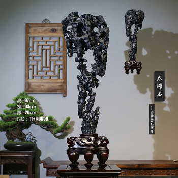 霊壁石 中国 鑑賞石 自然石 唐木 【飛HA】中国美術 鑑賞石 太湖