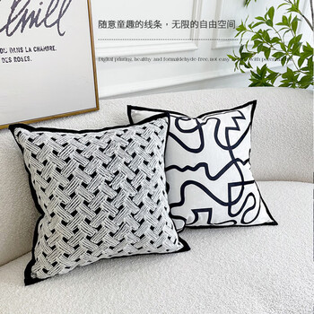 艾薇抱枕套 沙发抱枕靠垫套床头靠枕套45*45cm艺术线条