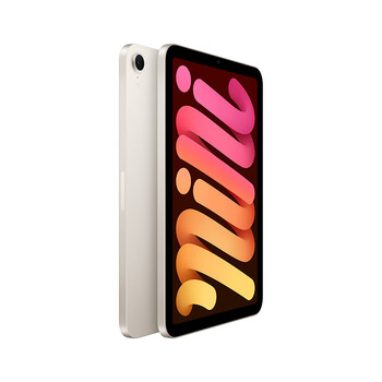 Apple iPad mini 8.3英寸平板电脑 2024年新款(256GB eSIM版/A17 Pro芯片)星光色 MXQ63CH/A*企业专享
