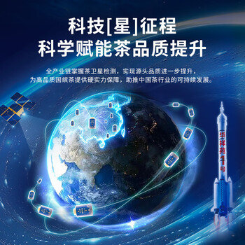 华祥苑国缤茶 牛栏坑正岩牛肉桂特级茶叶礼盒装乌龙茶41.5g送礼高档礼品