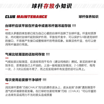 威仕顿紫心木台球杆 小头杆桌球杆训练进阶通杆黑八斯诺克 10MM带杆盒
